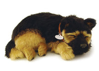 Perfect Petzzz Dogs and Cats