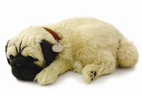 Perfect Petzzz Dogs and Cats