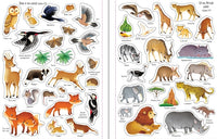 FIRST STICKER BOOK NATURE
