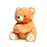 PAWS FOR PRAYER BEAR