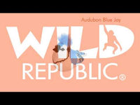 BLUE JAY - AUDOBON BIRD WITH SOUND