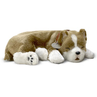 Perfect Petzzz Dogs and Cats