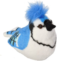 BLUE JAY - AUDOBON BIRD WITH SOUND