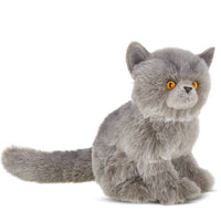 Gordie the grey plush Persian cat
