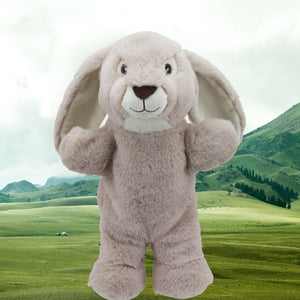Eco Walking Rabbit