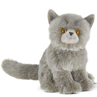 Gordie the grey plush Persian cat
