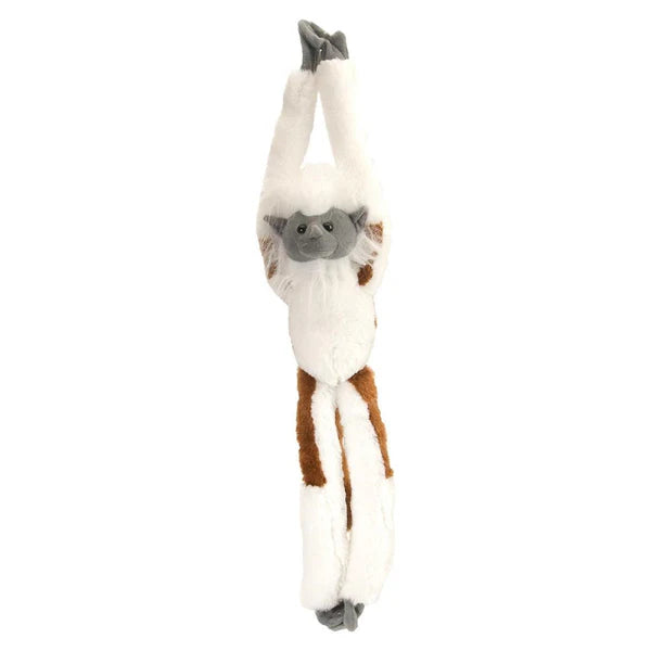Hanging Cottontop Tamarin Monket