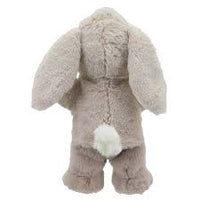 Eco Walking Rabbit
