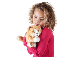 Orange Tabby Kitten Puppet
