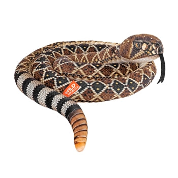 Diamondback Rattlesnake - Living Earth