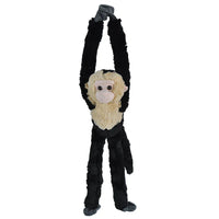 Hanging White Faced Capachin Monkey
