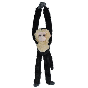 Hanging White Faced Capachin Monkey