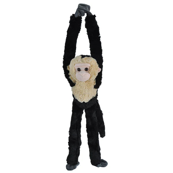 Hanging White Faced Capachin Monkey