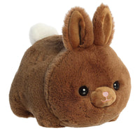 BROWNIE BUNNY - 10" SPUDSTER