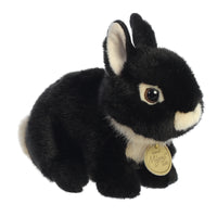 NETHERLAND DWARF BUNNY BLACK