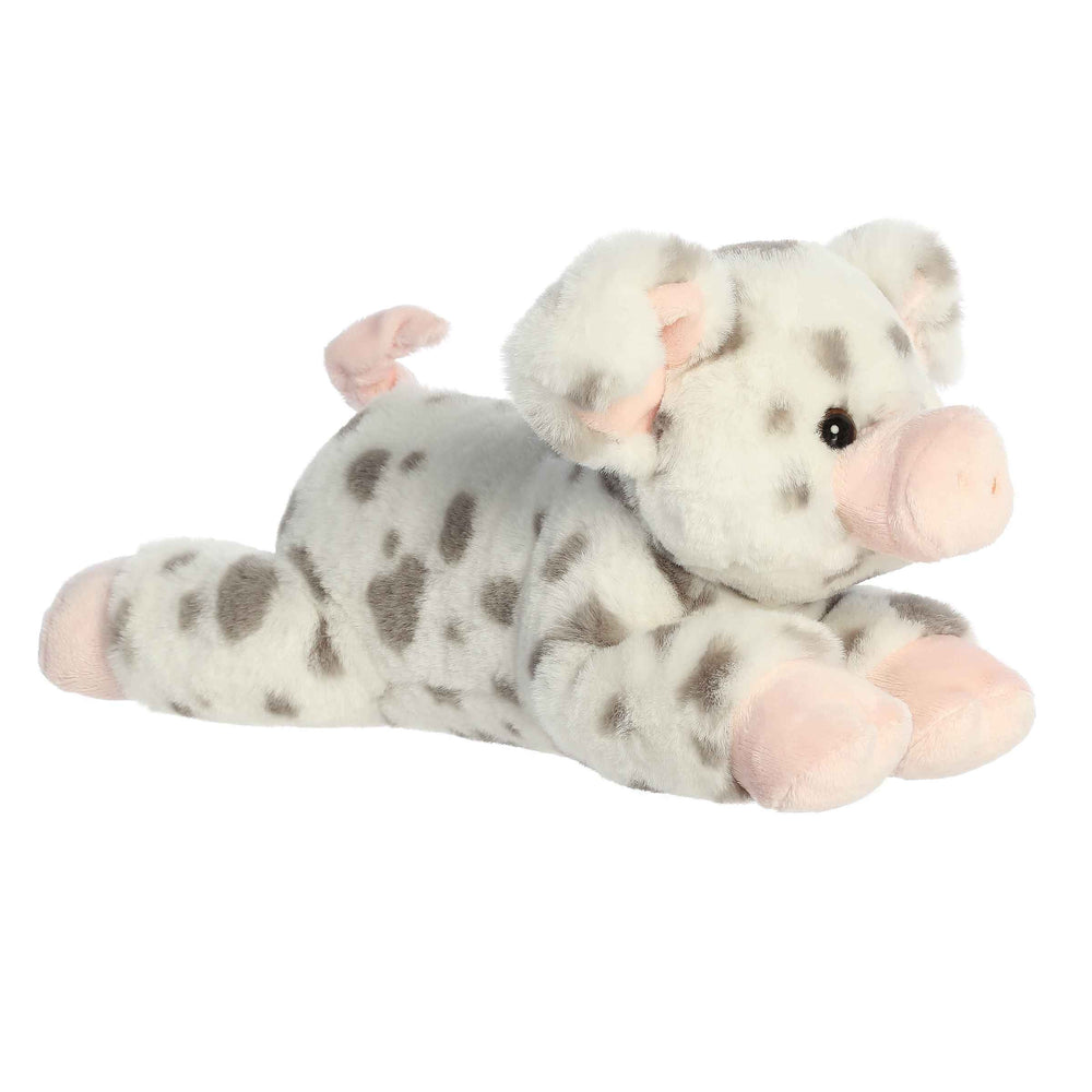 Speckles Spotted Pig