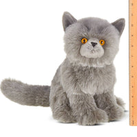 Gordie the grey plush Persian cat
