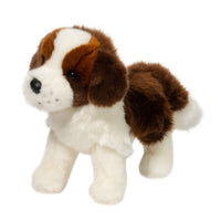 BRUTUS ST. BERNARD