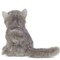 Gordie the grey plush Persian cat
