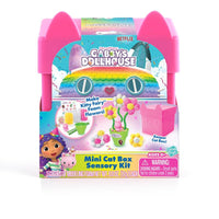 Gabby's Dollhouse© Mini Cat Box Sensory Kit