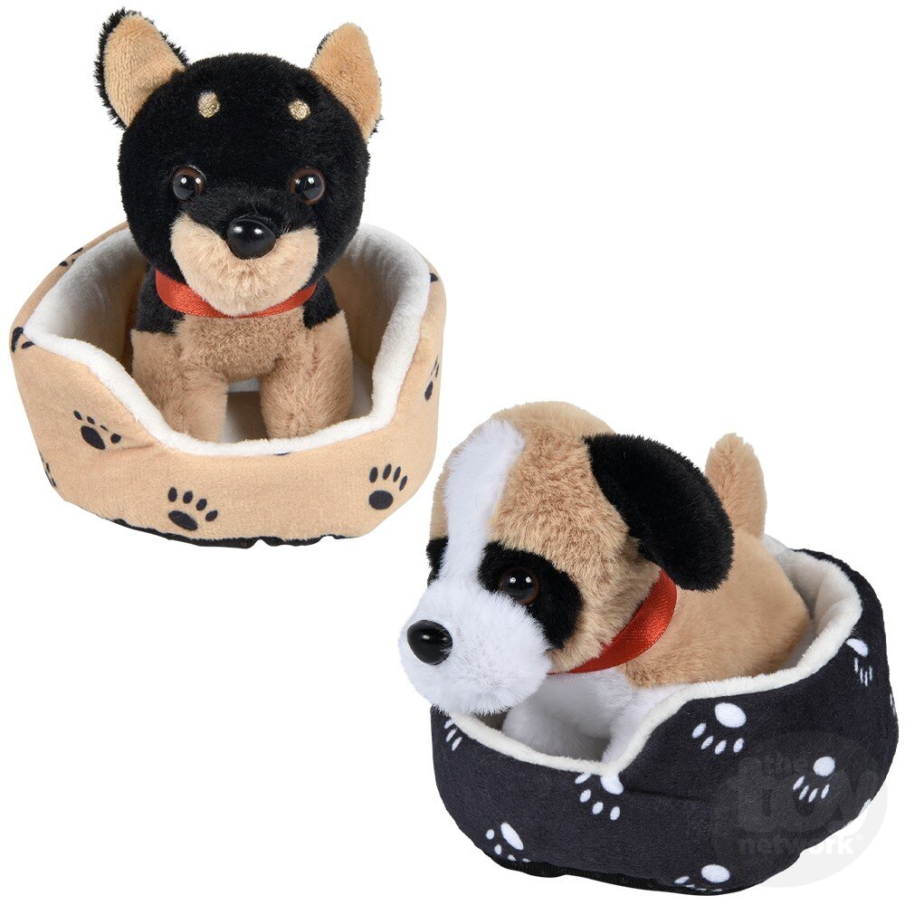 Dog in Bed - 8