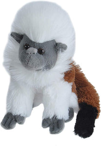 MINI COTTONTOP TAMARIN