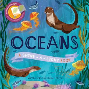 OCEANS - SHINE A LIGHT BOOK